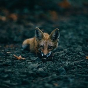 Meet your Posher, Stefanie